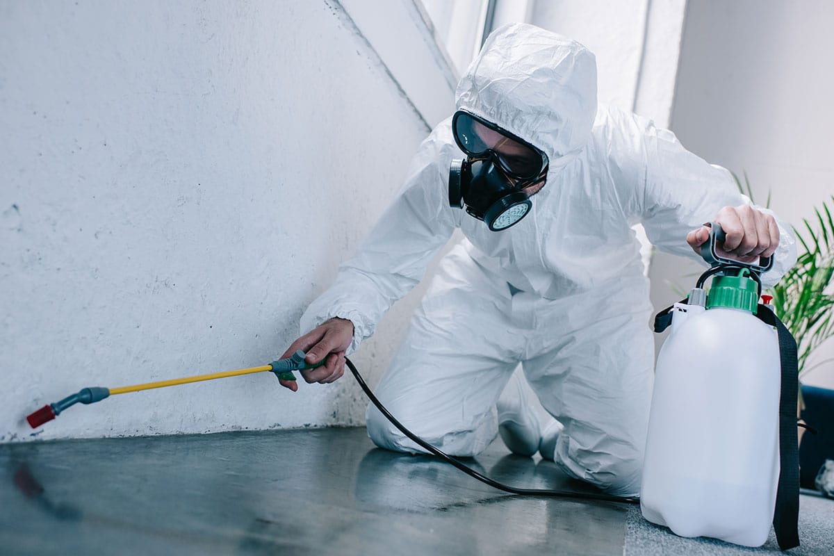 Banaz Haşere İlaçlama